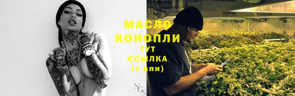 спайс Ладушкин