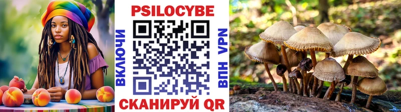 купить наркотик  Любим  Псилоцибиновые грибы прущие грибы 